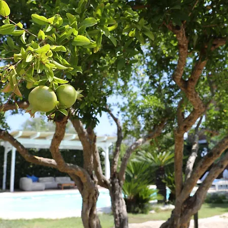 Kale Bed & Breakfast Giovinazzo