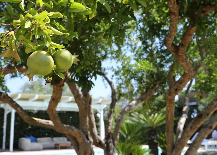 Kalè Bed & Breakfast Giovinazzo